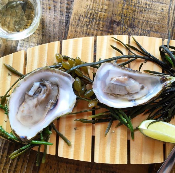 SHUCK Seafood + Raw Bar Taste of Nova Scotia