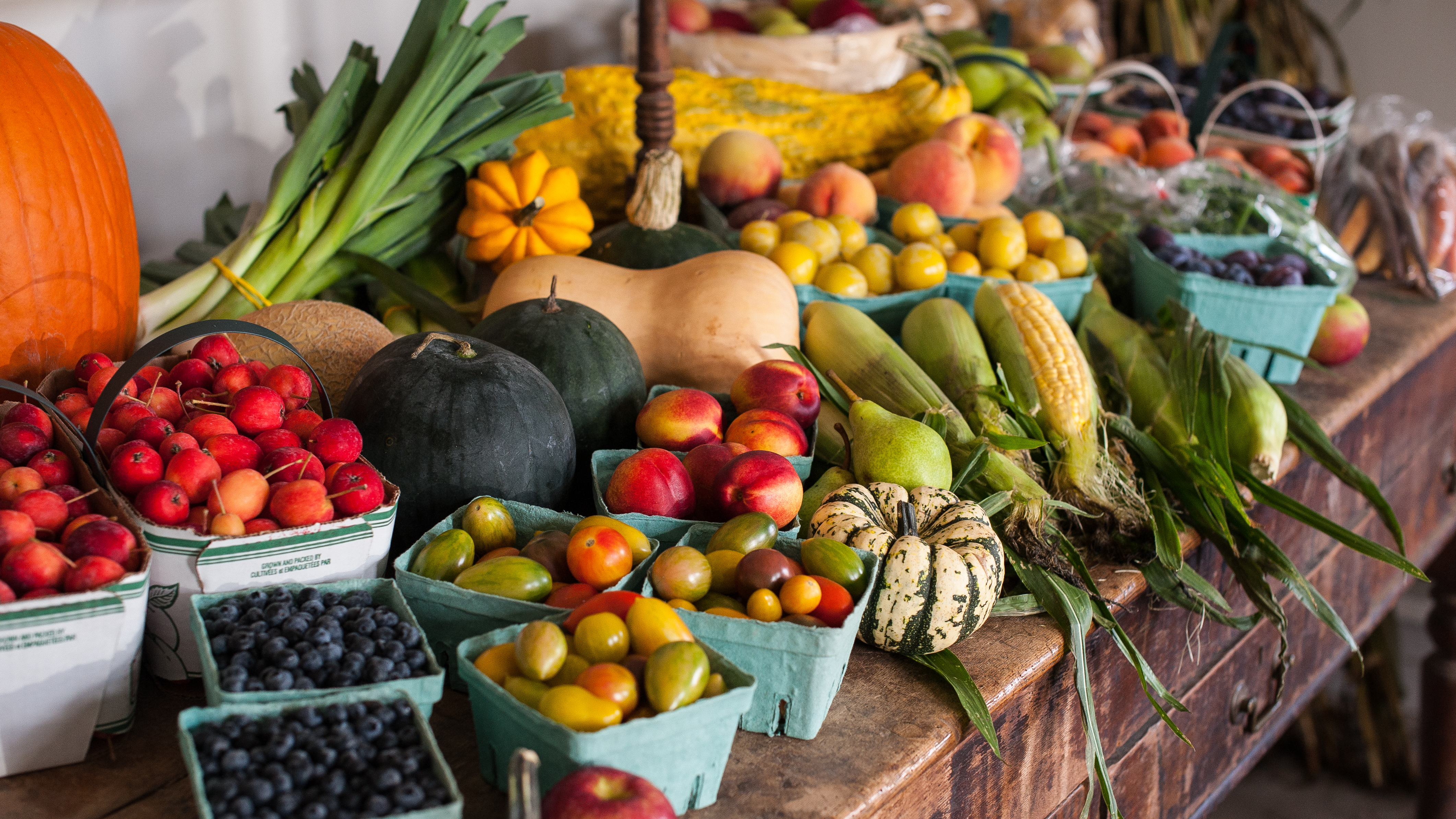 Taste Of The Month: Harvest | Taste Of Nova Scotia