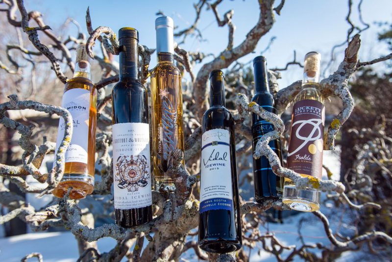 Event Nova Scotia Icewine Festival Taste of Nova Scotia