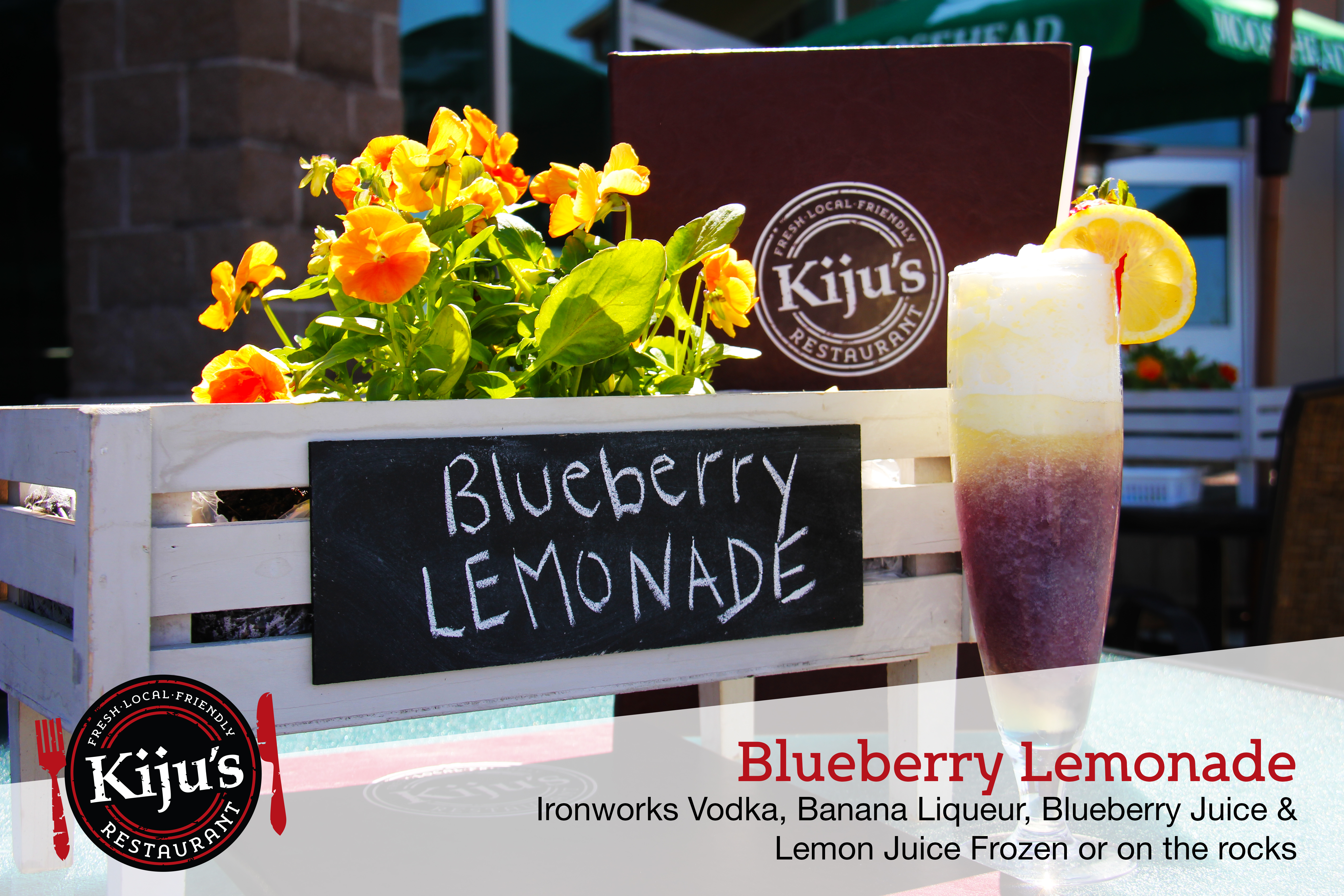 Blueberry Lemonade Taste of Nova Scotia