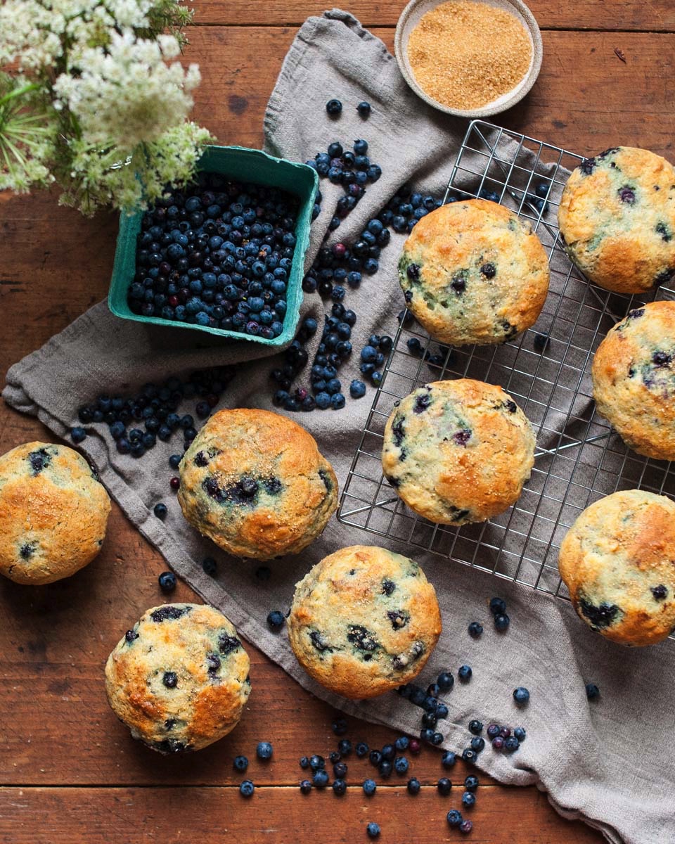 Blueberry Buttermilk Muffins Taste of Nova Scotia