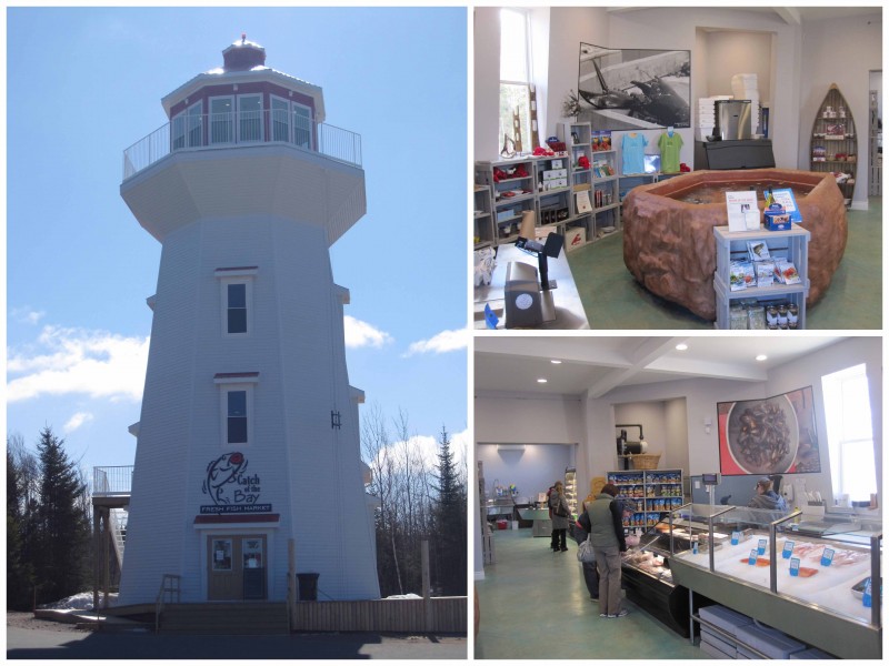 masstown collage 2 small