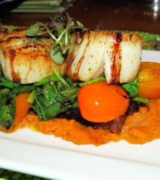 Scallops