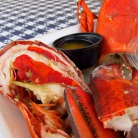 Clearwater Lobster