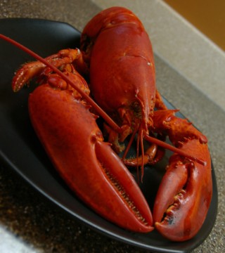 Lobsterwold
