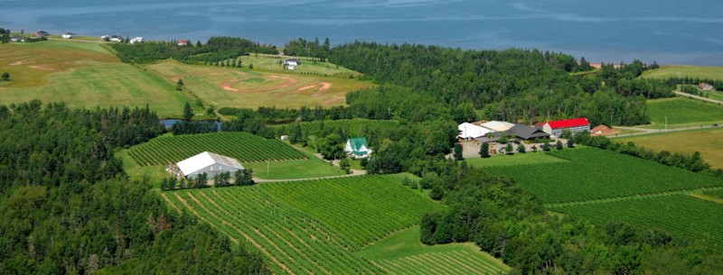 Jost Vineyards