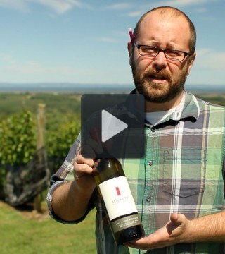 Mike-Mainguy-wine-recommendation