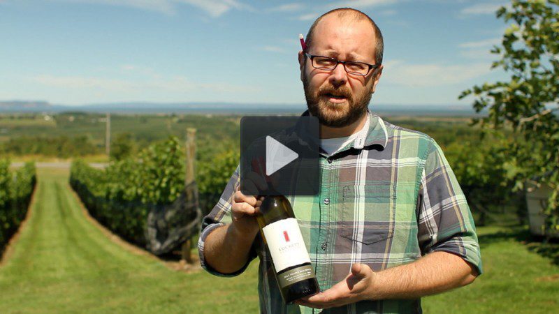 Mike-Mainguy-wine-recommendation