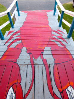 Photo of lobster steps