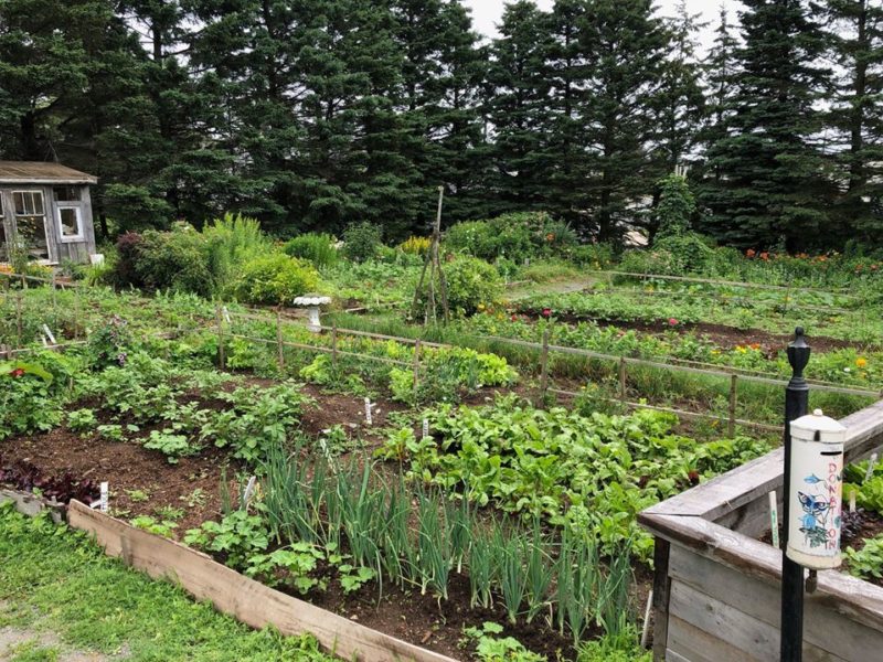Photo of Cole Harbour Heritage Farm Garden from Facebook