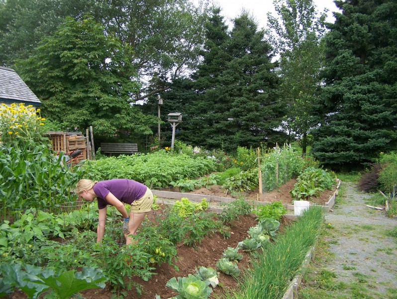 The farm graden