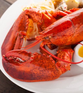 Photo of Lobster