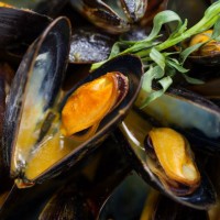 Photo of: Mussels from Aquaprime Mussel Ranch