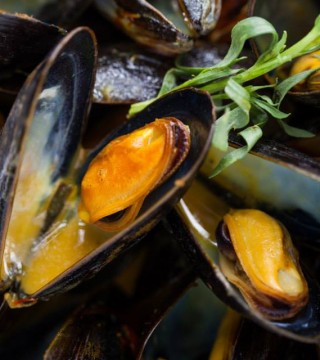 Photo of: Mussels from Aquaprime Mussel Ranch