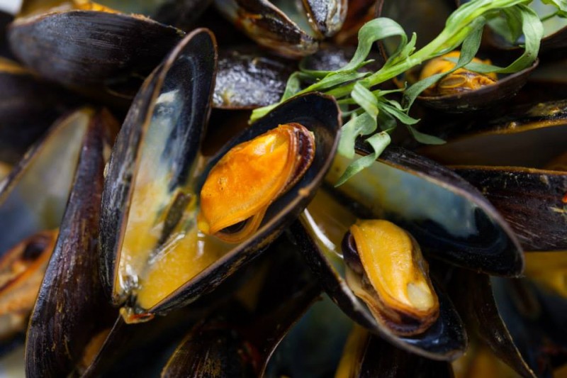 Photo of Mussels from Aquaprime Mussel Ranch