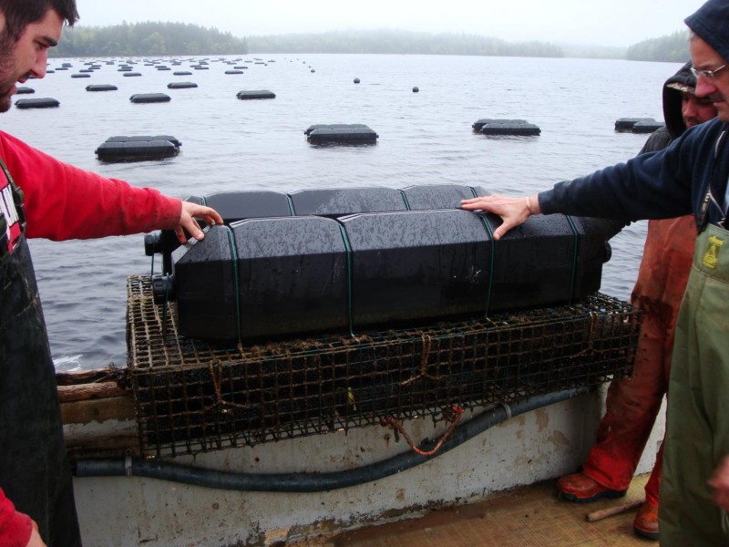 A photo of Eel Lake Oyster Farm