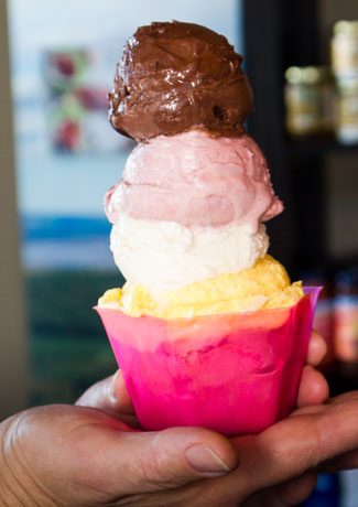 A photo of Gelato from Foxhill Cheese House