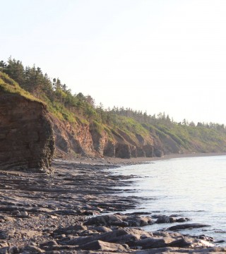Photo from Northumberland Shore