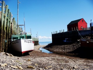 Low tide at Hall's Harbour
