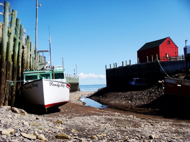 Low tide at Hall's Harbour