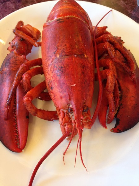 Lobster in the Rough