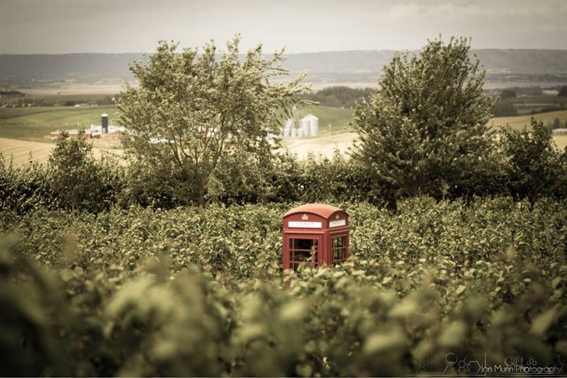 Luckett Phone View