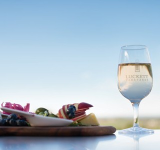 Photo of: Luckett Vineyards