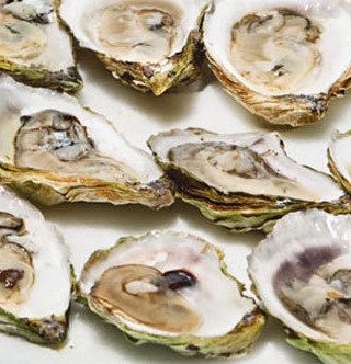 Sober Island Oysters