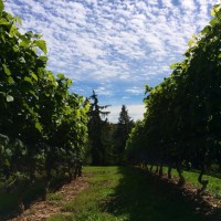 Grand Pre Winery