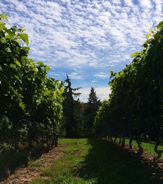 Grand Pre Winery