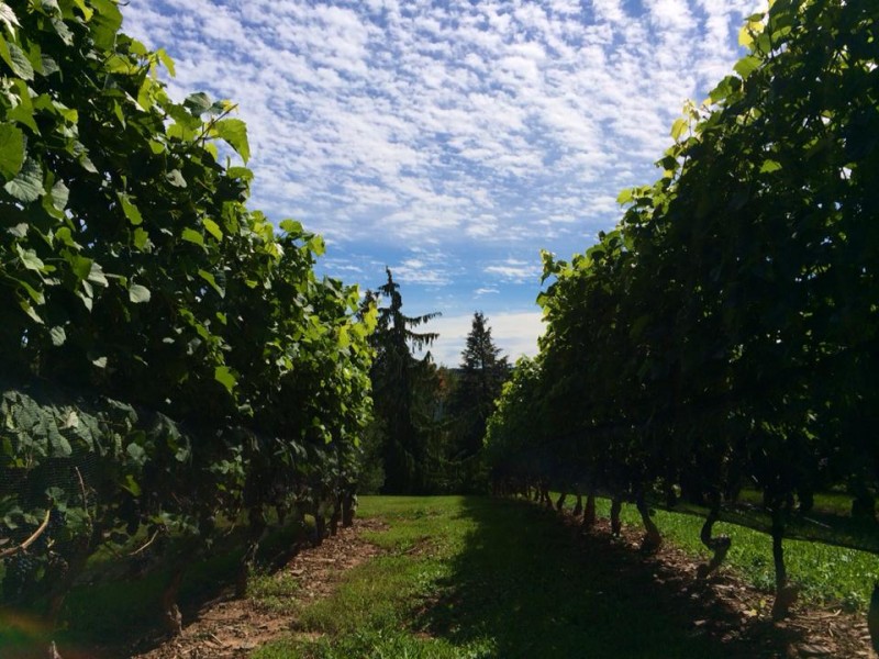 Grand Pre Winery
