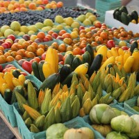 Lo-Res Lunenburg Farmers Market