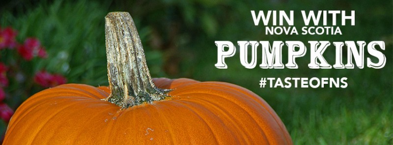 Pumpkin-Promo-(FB-Cover)