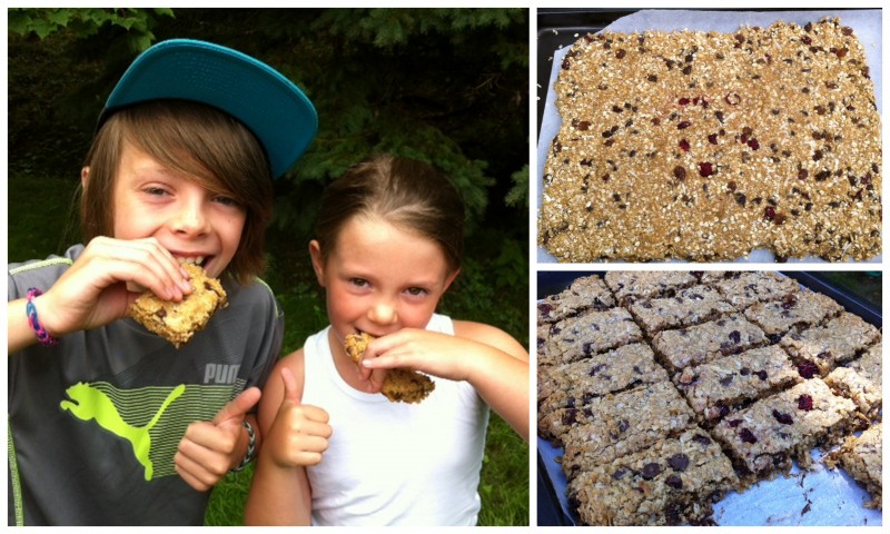 Photo of: Granola Bars