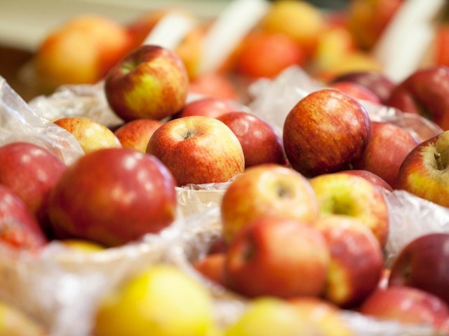 Noggins Apple