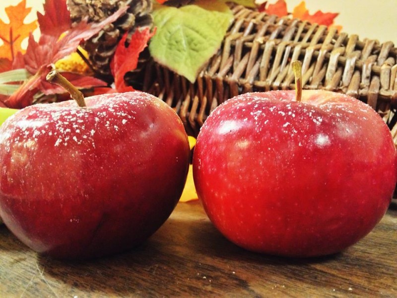 Apples & Fall Harvest