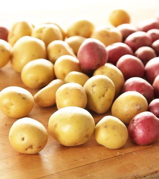 Delta Halifax Potato