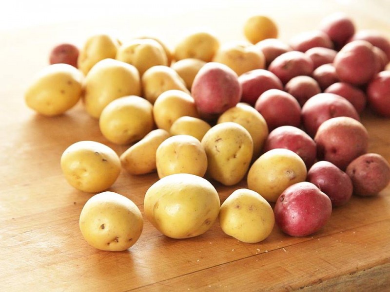 Delta Halifax Potato