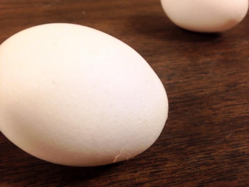 Eggs for Ingredients