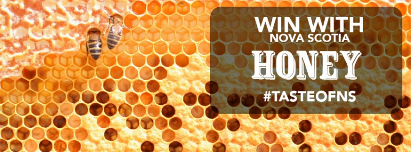 Honey-Promo-(FB-Cover)