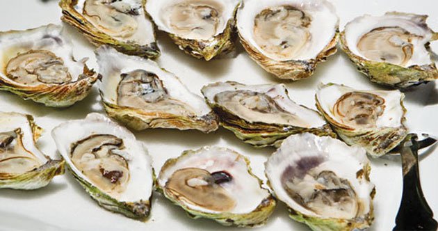 Photo of: Sober Island Oysters, promoting Sip n' Shuck