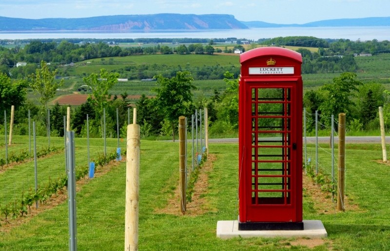 Photo of: Luckett Vineyards Phonebox