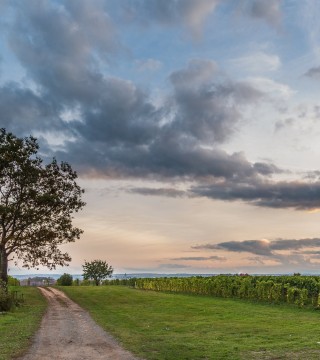 Photo of: Blomidon Estate Winery