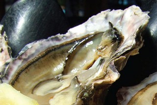 Photo of: Five Fisherman Oyster Happy Hour