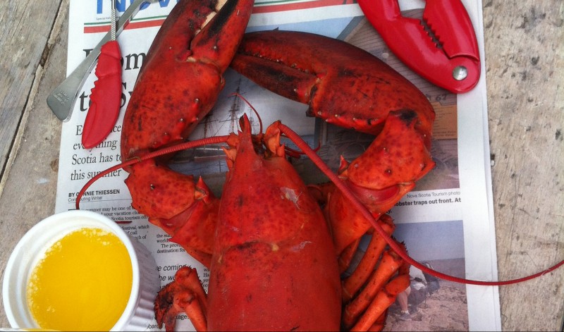 Photo of: Lobster with Butter