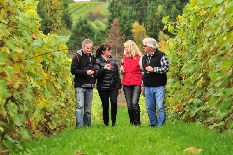 Photo of: Jost Vineyards