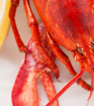 Photo of: Lobster with Lemon
