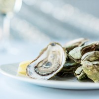 Photo of: McKelvie's Oysters