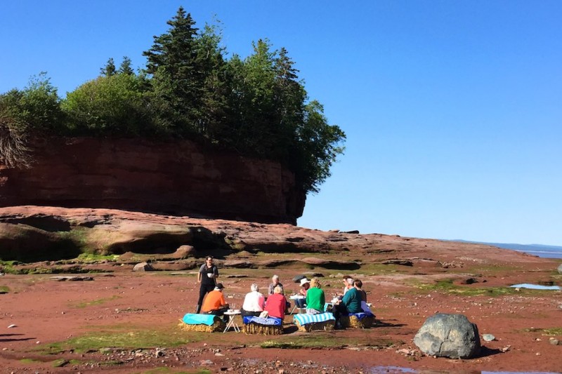 Dinner on the Ocean Floor (Burntcoat Head, NS)
