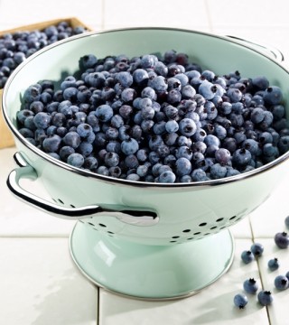 Photo of: Wild Nova Scotia Blueberries